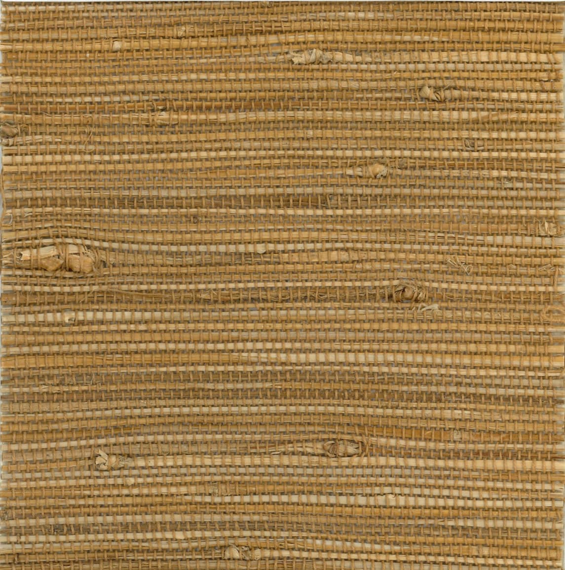 Orithyia SM-SL-007