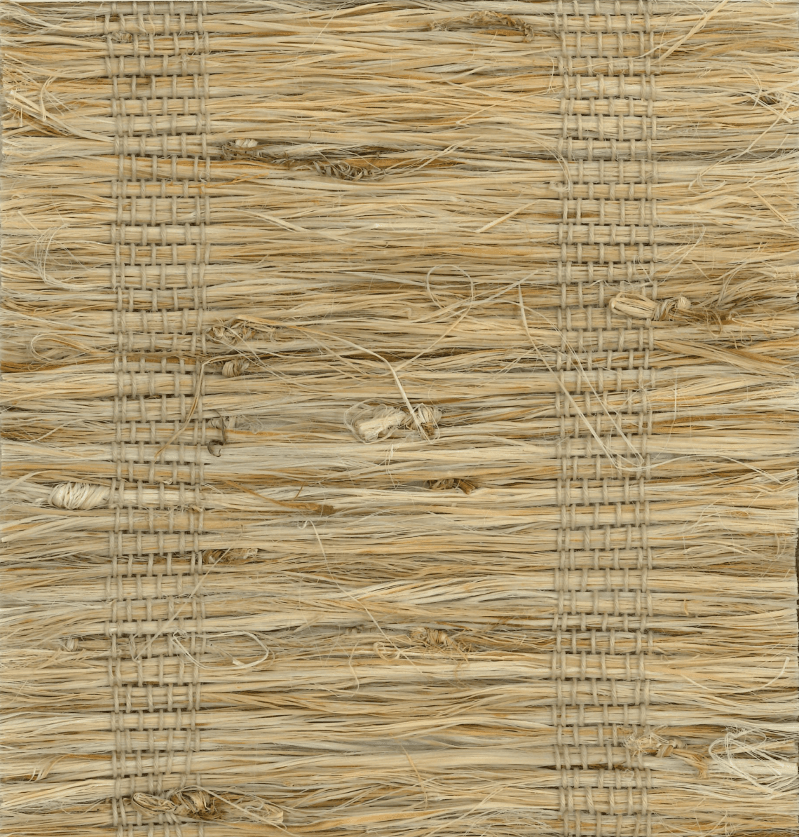 Orithyia SM-SL-427