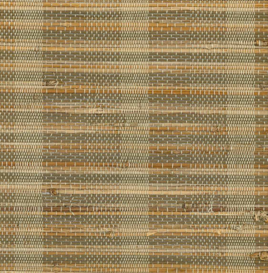 Orithyia-SM-SL-903