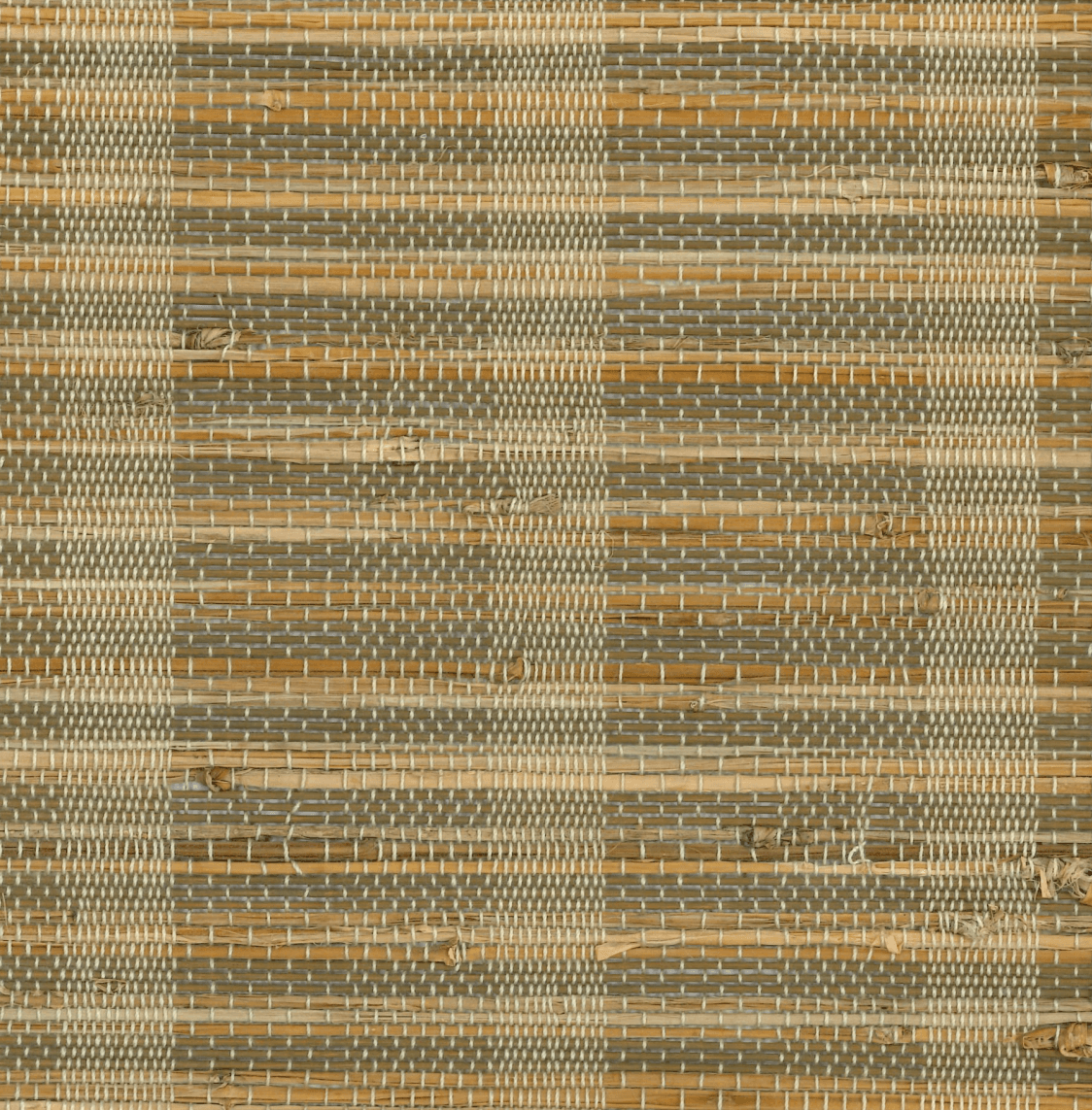 Orithyia-SM-SL-903